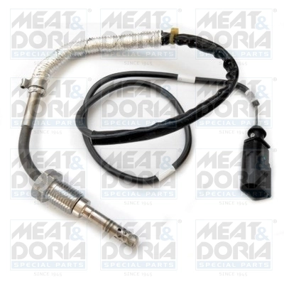 Sensor, exhaust gas temperature